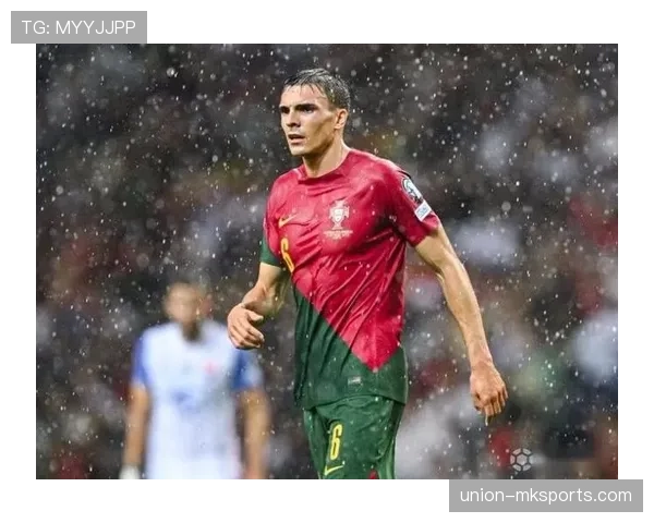 帕利尼亚在葡萄牙国家队主力后腰地位解析